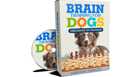 101 Brain Training for Dogs