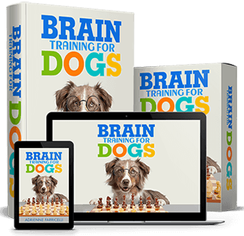 what is Brain Training for Dogs