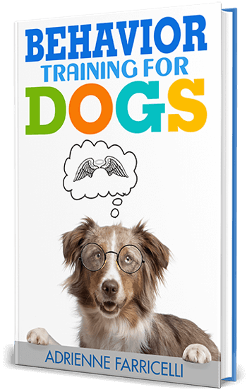 bonus Brain Training for Dogs