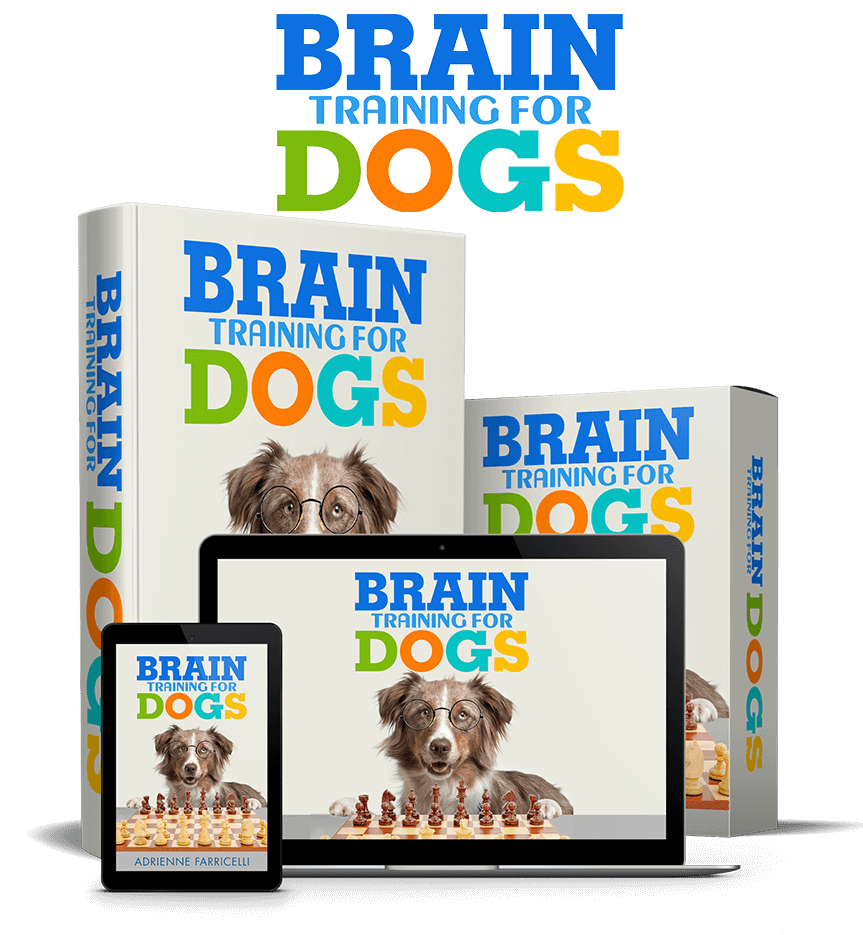 try today Brain Training for Dogs